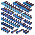Eride pro s/ss/sr titanium bolt kit