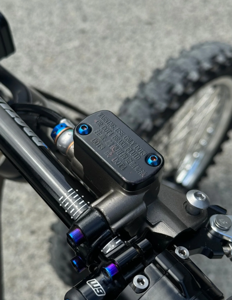 Ultra bee brake mount titanium